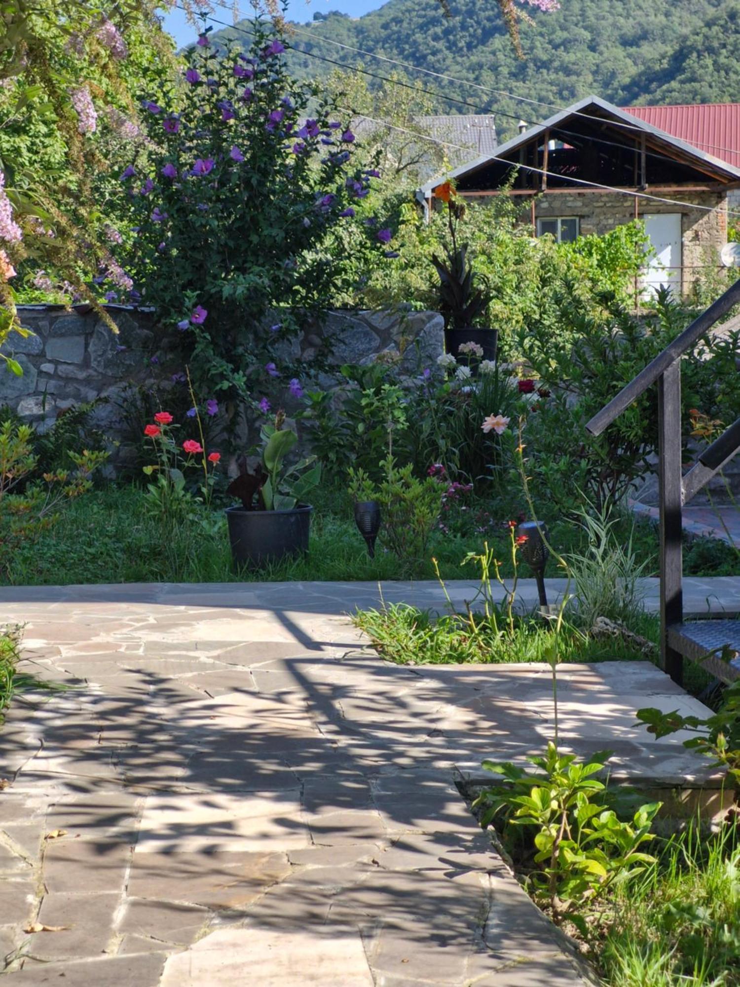 Ananuri Veranda- Hotel Guest House Bagian luar foto